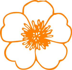 Orange daisy clipart outline