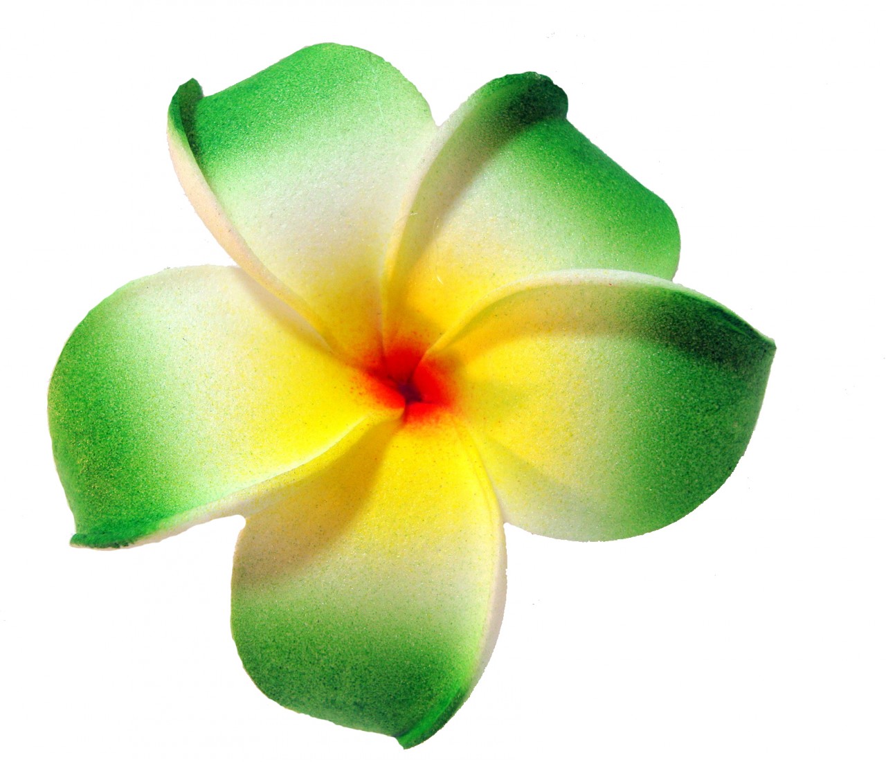 Free clip art plumeria flower - ClipartFox