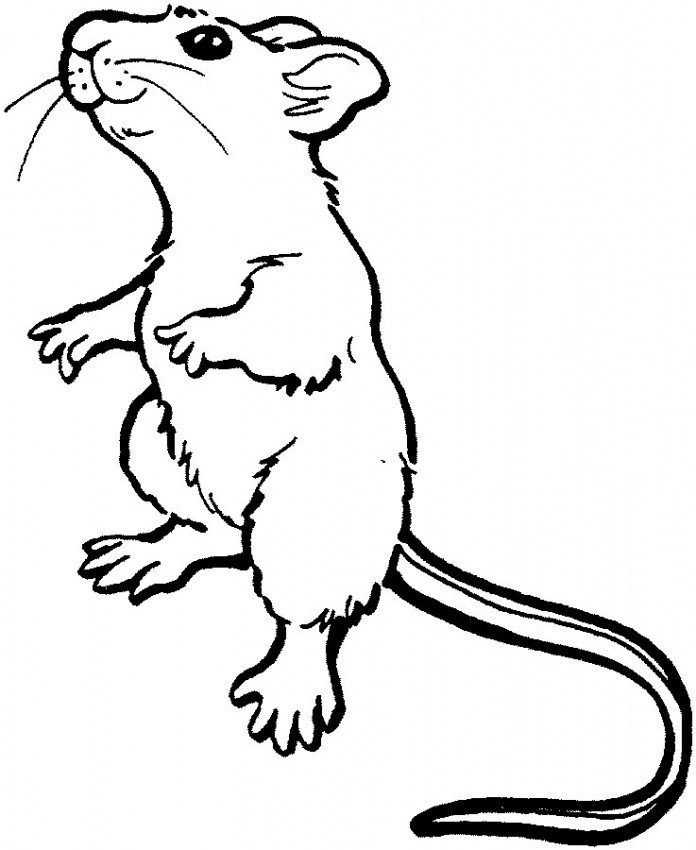 Cup Coloring Pages