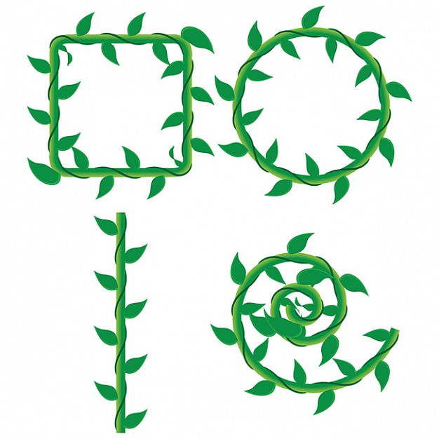 Illustrator Vine Brushes Vector | Free Download