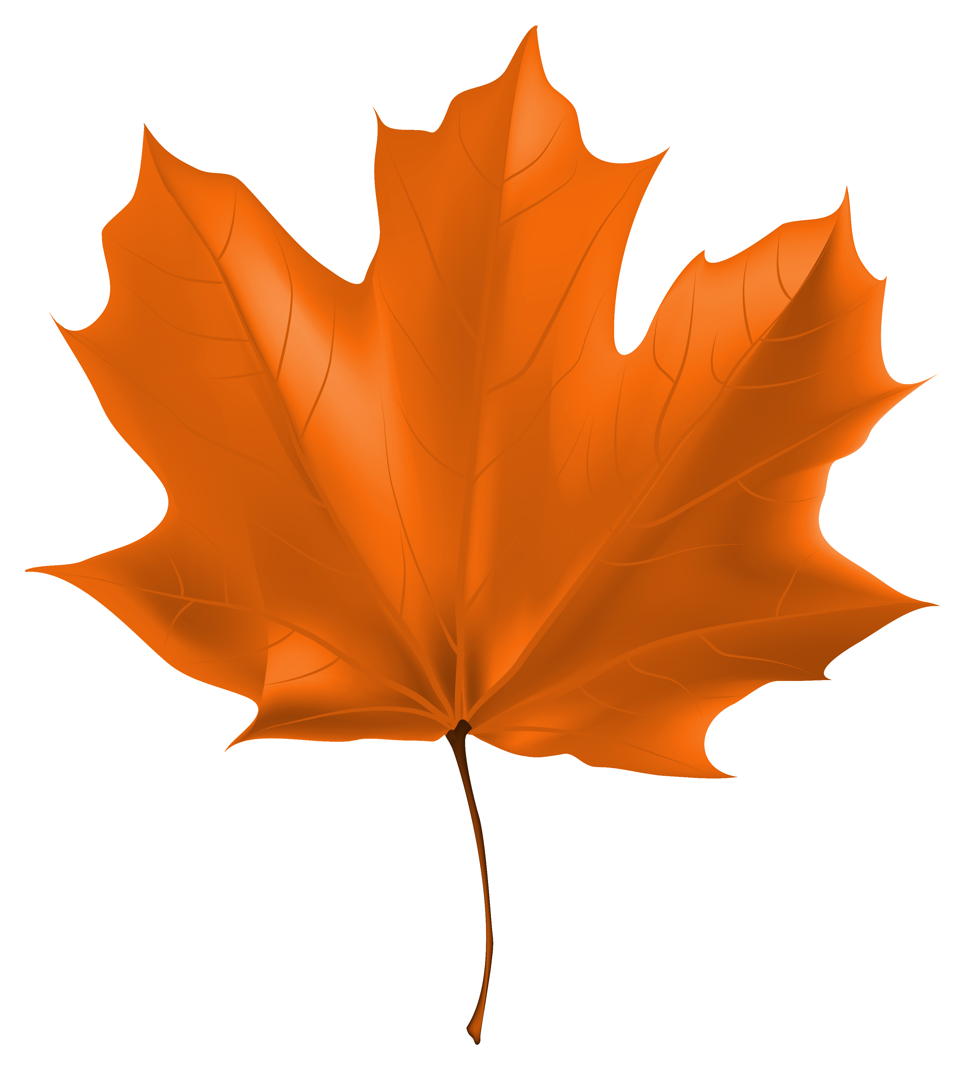 Beautiful Autumn Leaf PNG Clipart Image