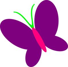 Pink, Butterflies and Polyvore