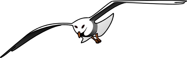 Seagull cartoons clipart - FamClipart
