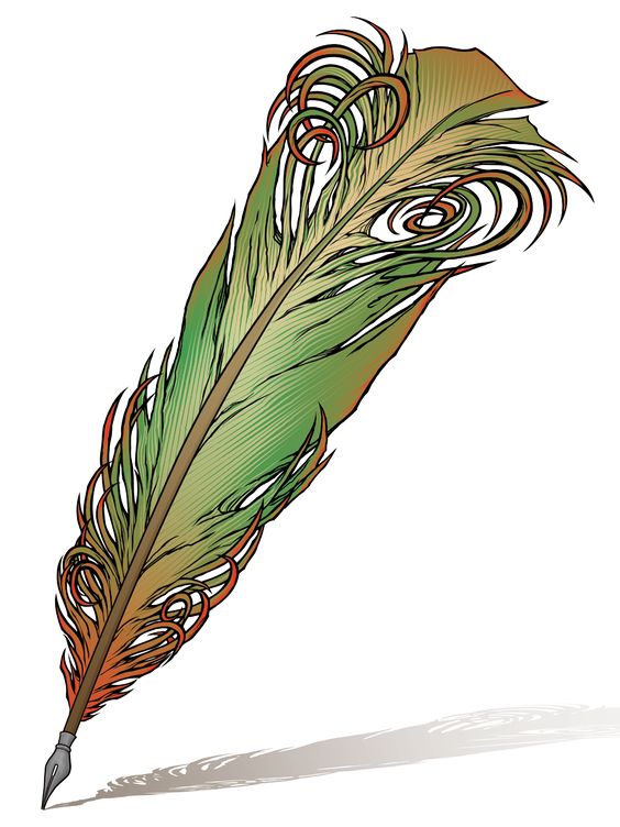 Wolves, A wolf and Feathers