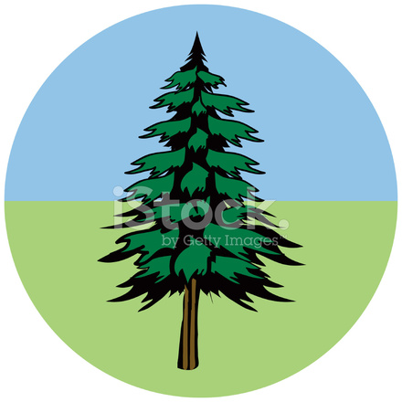 Vector Pine Tree stock photos - FreeImages.com