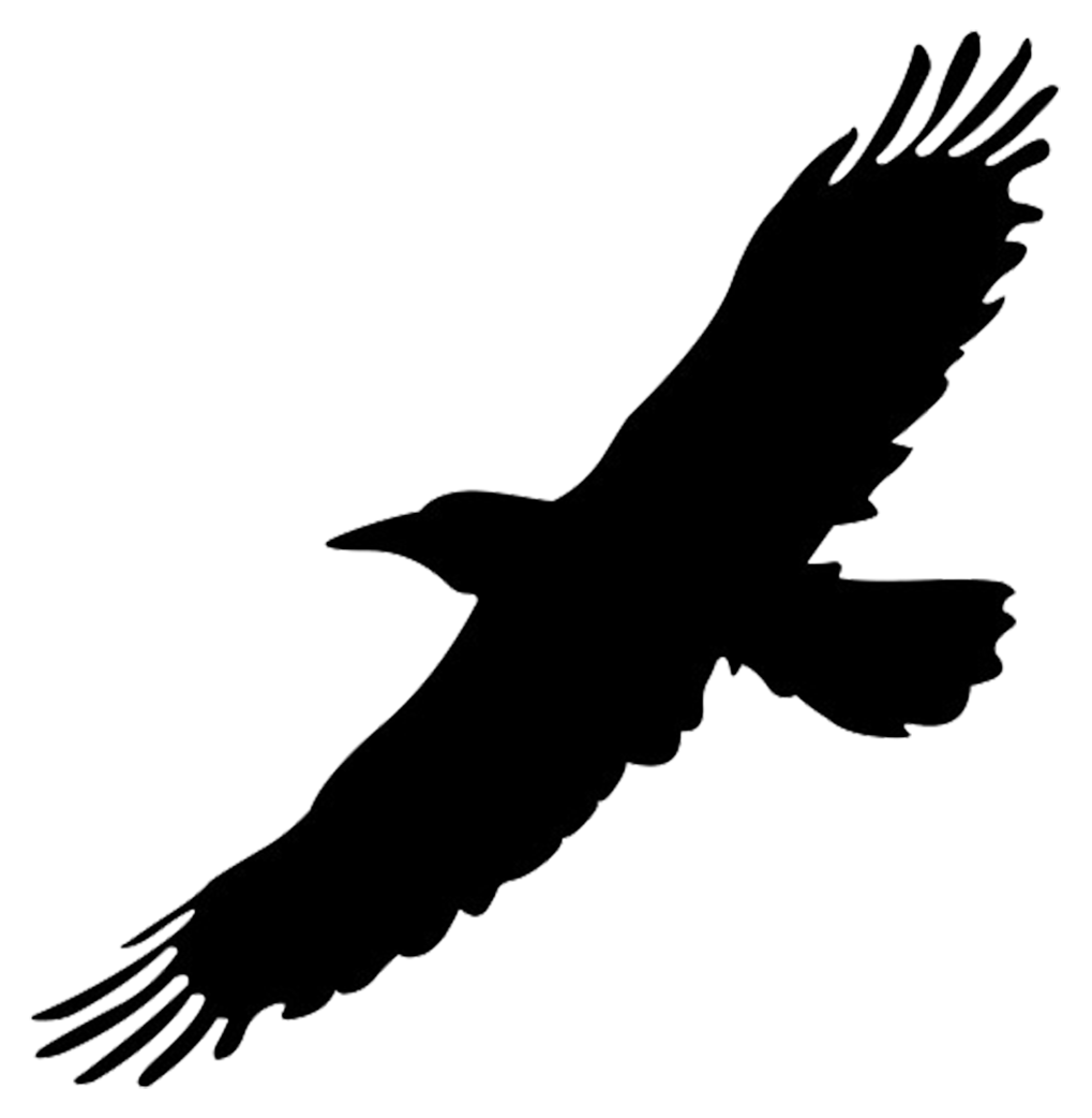 Bird Silhouettes