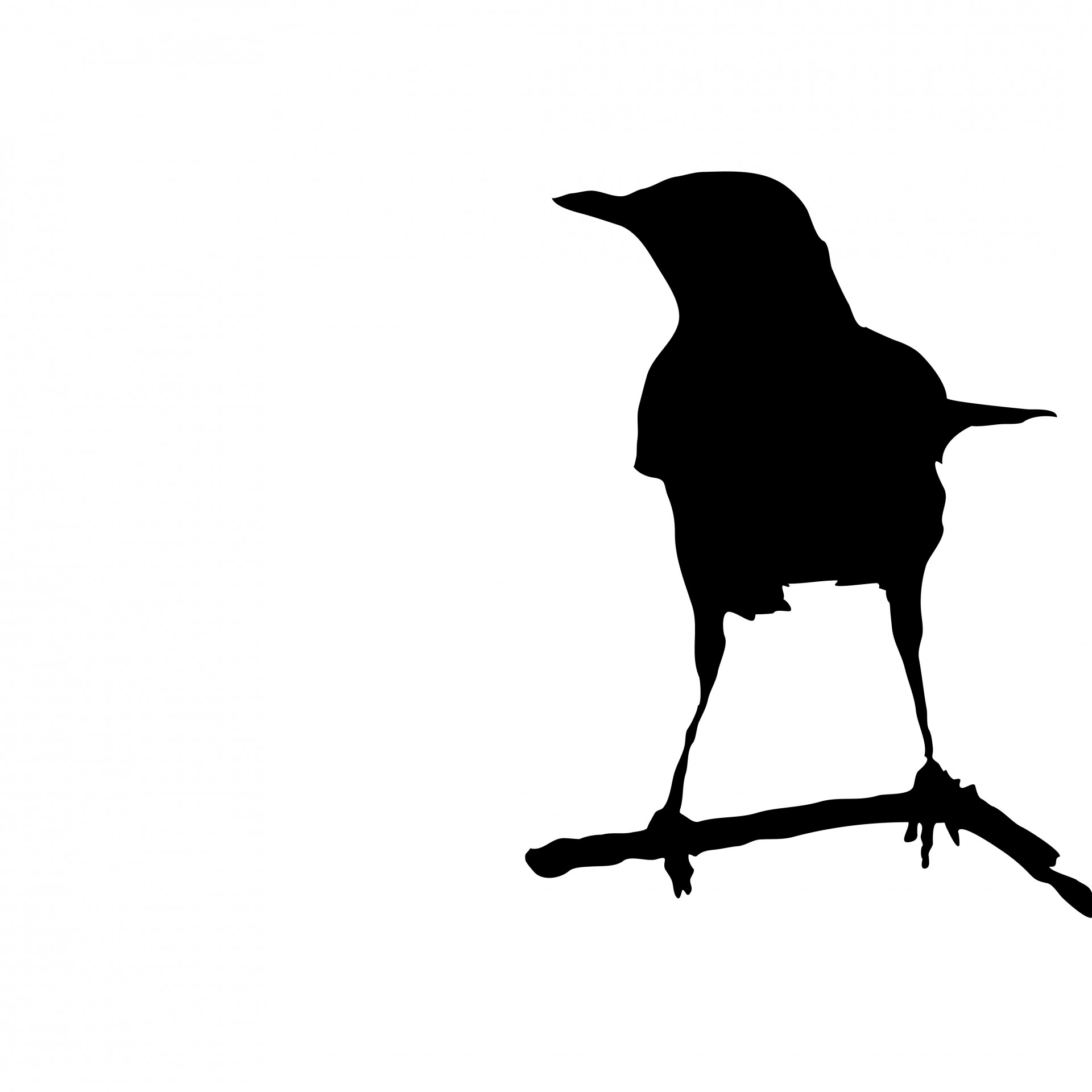 Bird Silhouette Branch Images - Public Domain Pictures - Page 1