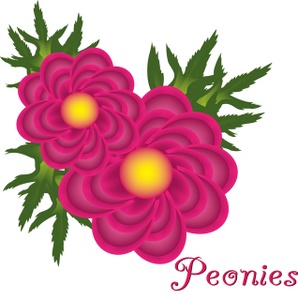 Peony Flower Clipart