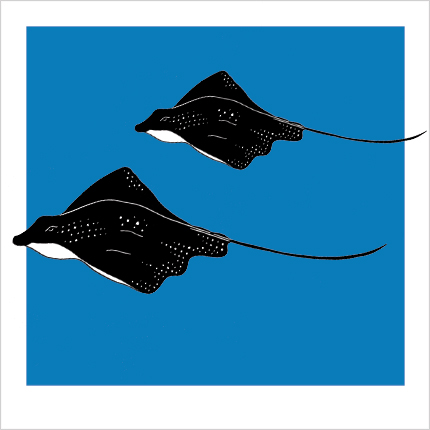 Sea Creature Prints on Behance