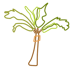 How to draw palm trees