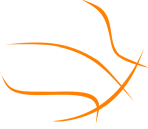 Basketball Transparent Outline clip art - vector clip art online ...