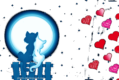 love u animals pets cats hearts animated 3D HD .Gif photo gifs ...