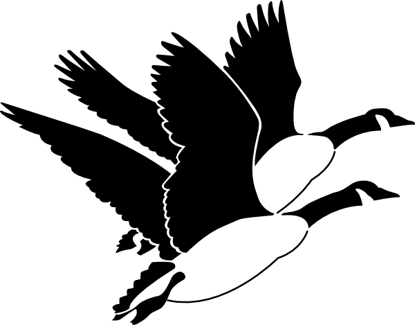 Goose Hunting Clipart