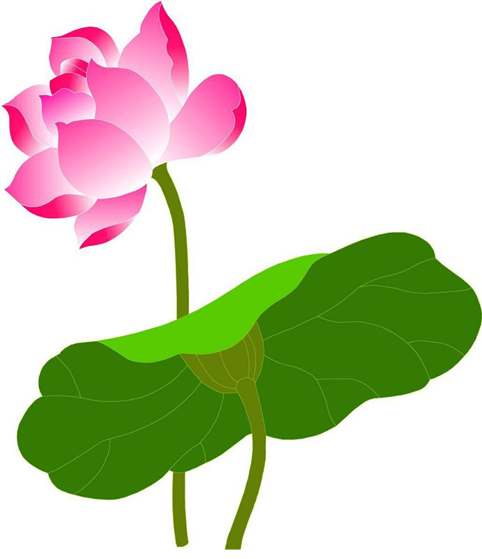 Free Pictures Of Plants | Free Download Clip Art | Free Clip Art ...
