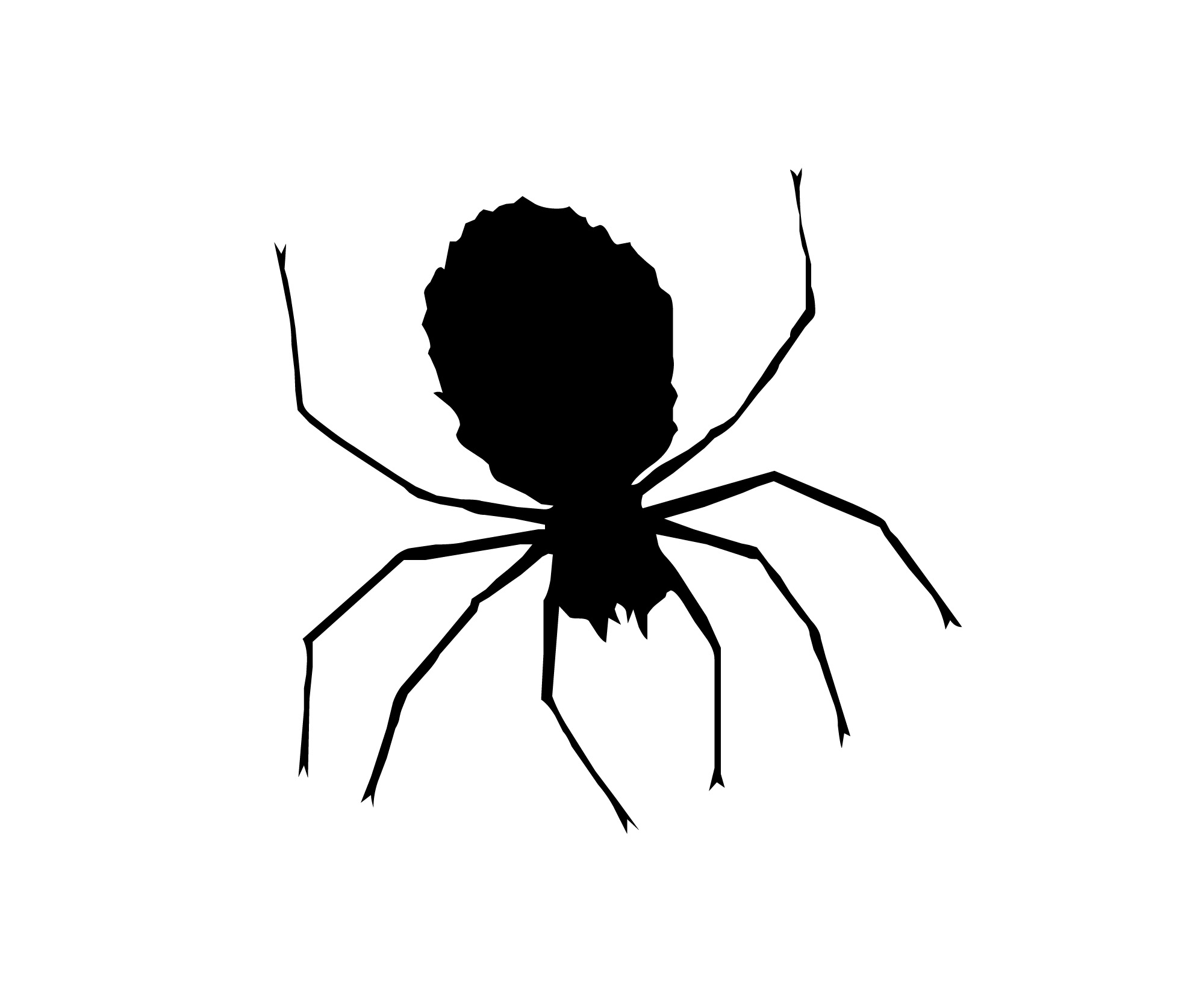 Spider Black And White Clipart