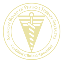American Board of Physical Therapy Specialties Gold Embossed ...