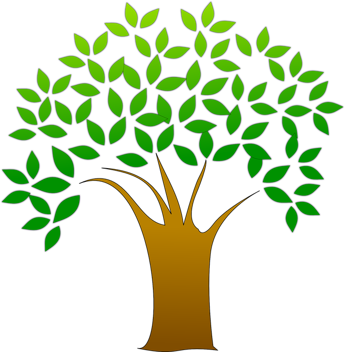 Health & Environment |