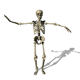 Scratch Studio - Spooky Scary Skeletons Projects