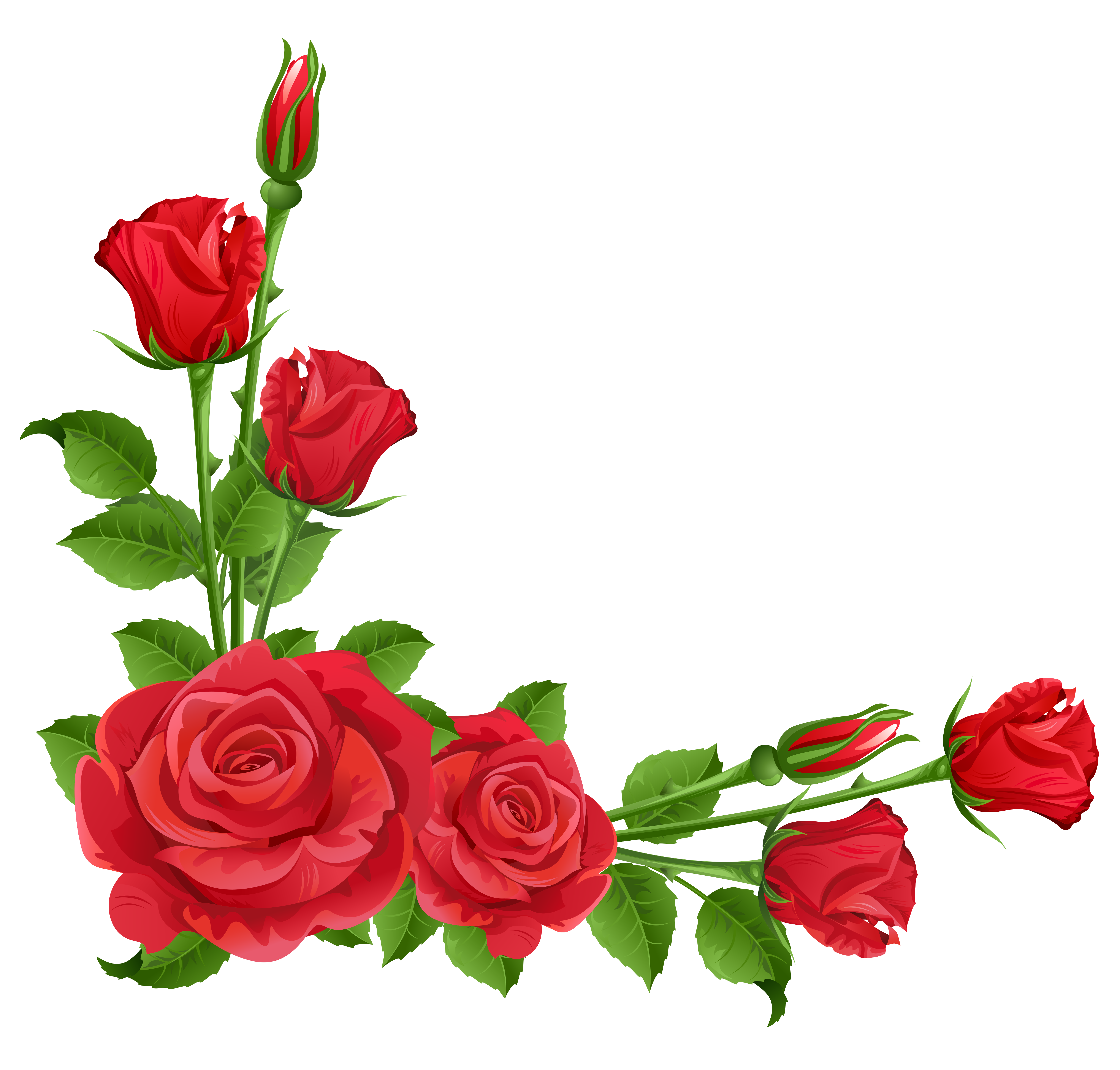 Free red rose clipart png