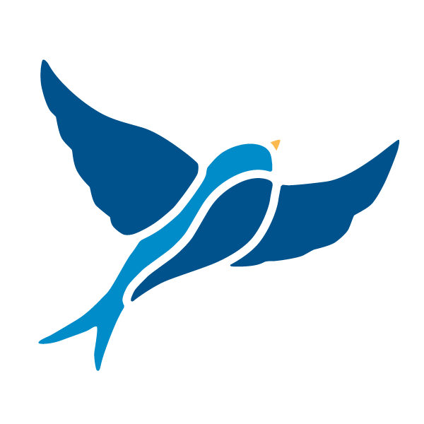 Bird Wall Stencil for Kids Mural or Baby Nursery