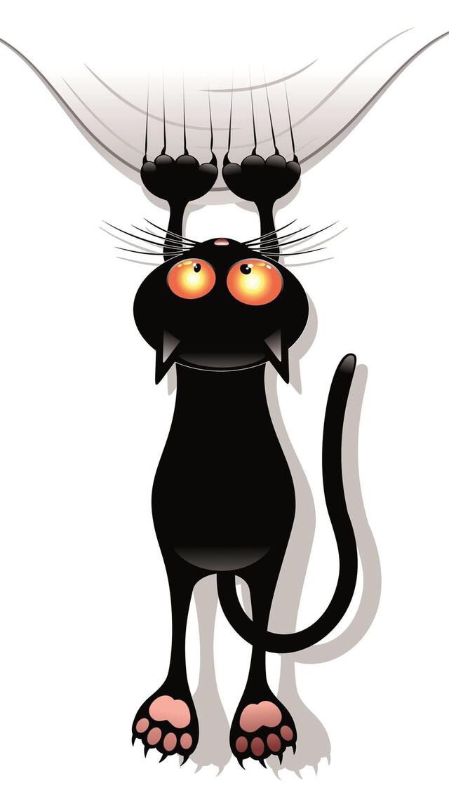 1000+ images about dog and cat wallies