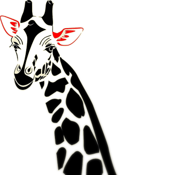 lerolino | SHOP