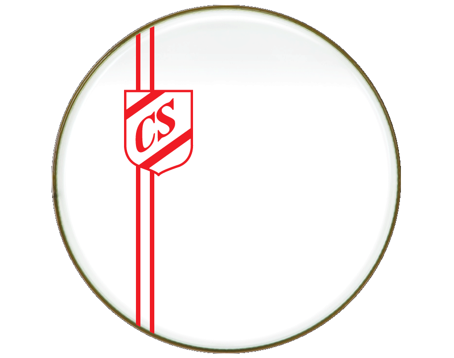 custom printed bass drum skins and logo heads · customskins.