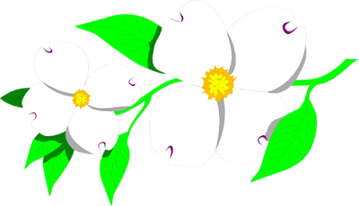 dogwood.png