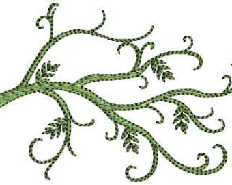branch of tree