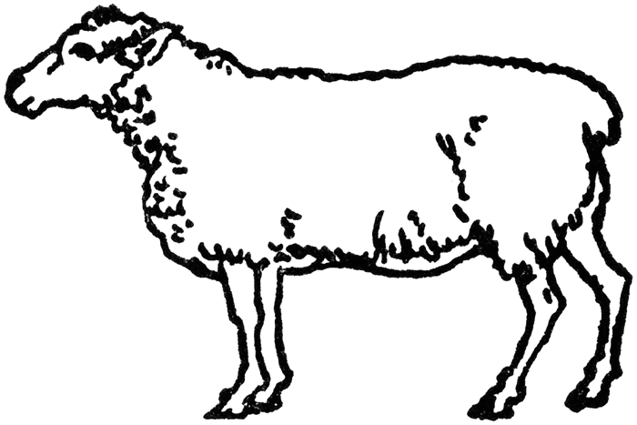 Rumirad