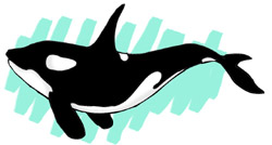 Aquatic animals - info and online games