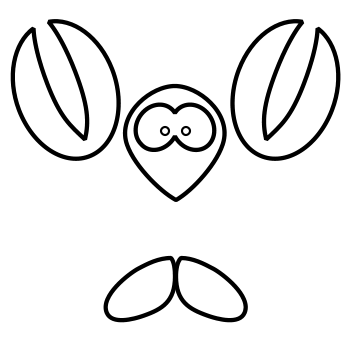How to create outline characters