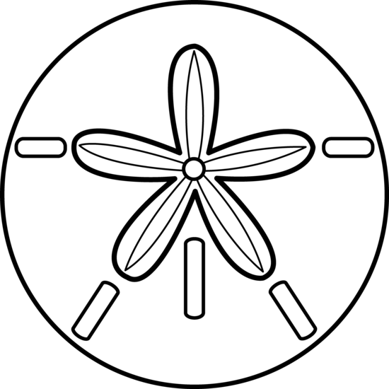 Sand Dollar Clipart