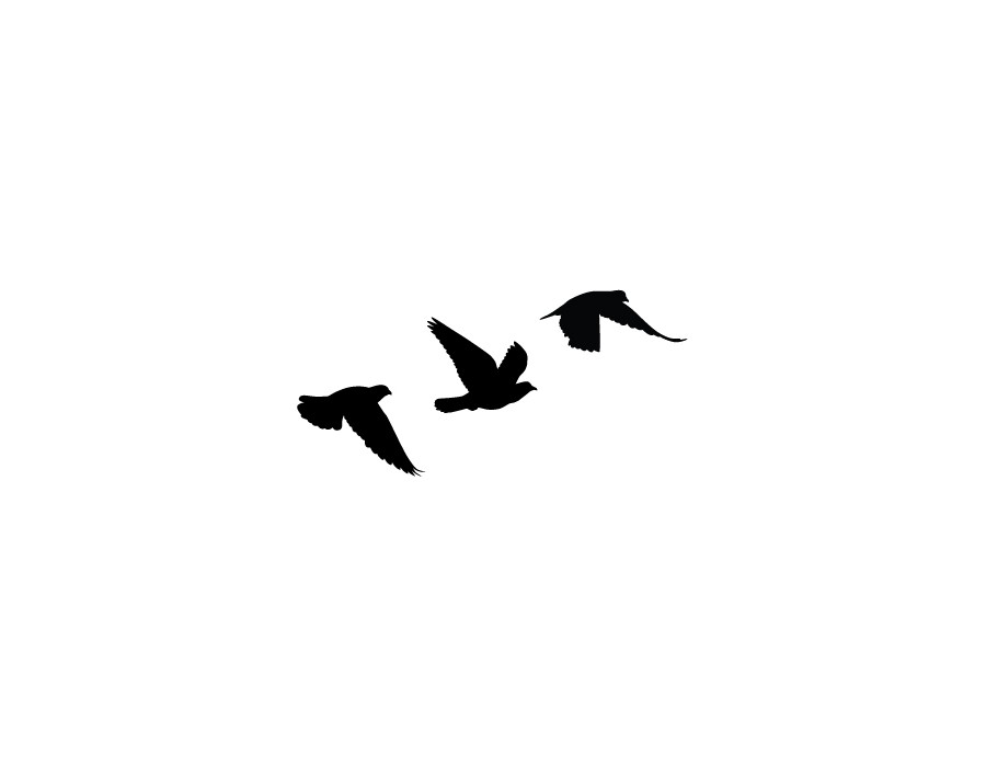 1000+ images about Tattoos | Rib tattoos, Clip art ...