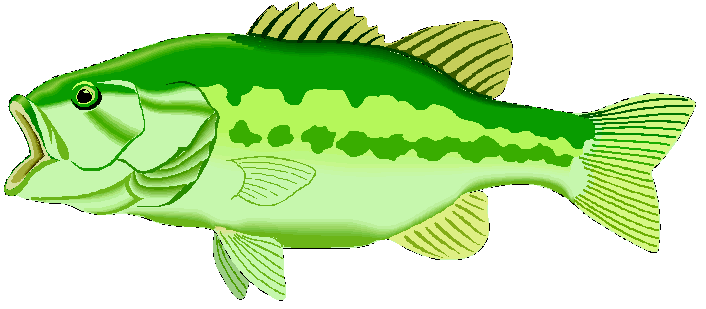 Largemouth Bass Clip Art