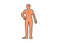 Health Animated Clipart: blood circulation : Classroom Clipart