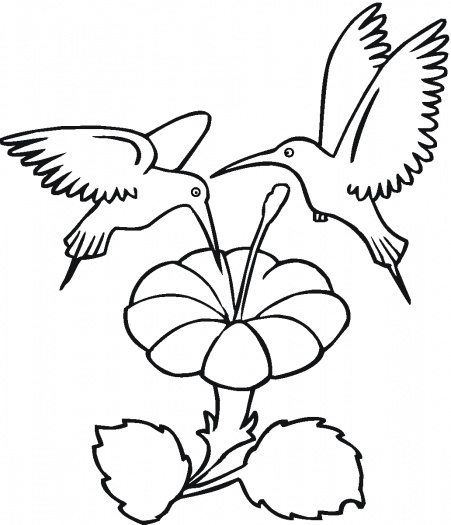 Traceable Flower Patterns - ClipArt Best