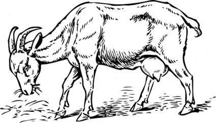 Black And White Pictures Of Farm Animals - ClipArt Best