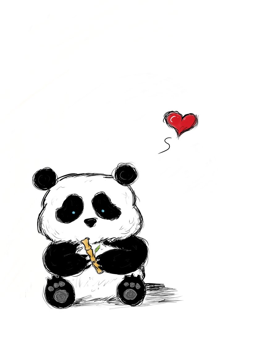 Cute Panda Drawing