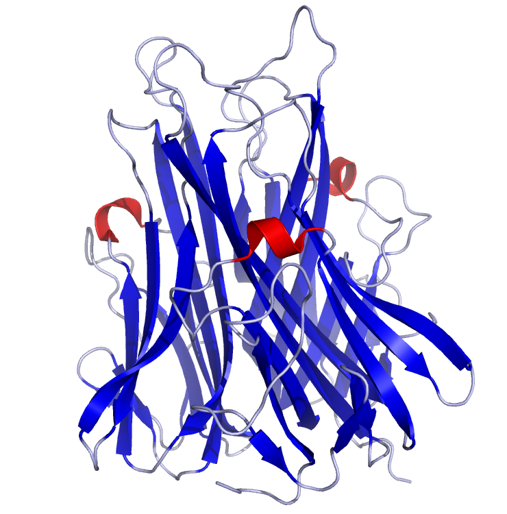Tumor necrosis factor alpha