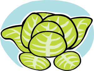 Iceberg Lettuce clip art Free Vector
