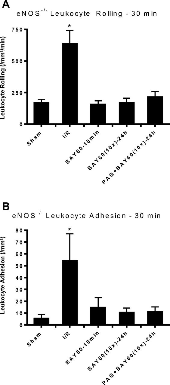 Preconditioning with soluble guanylate cyclase activation prevents ...
