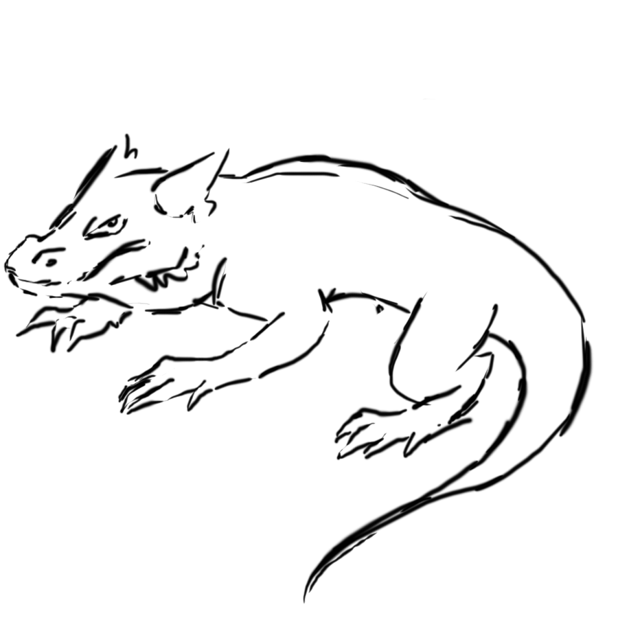 bearded dragon