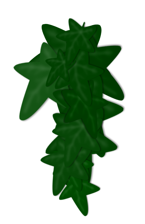 Ivy Clipart
