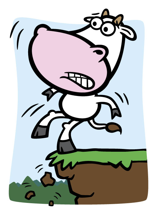 Cartoon Cow Illustrations