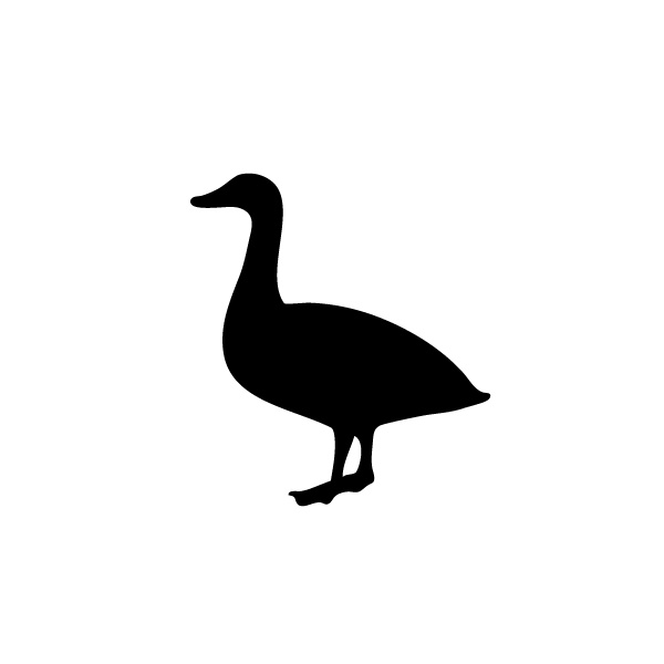 Duck Silhouette Wall Art avalisa-1060 - wall art for babies