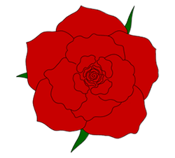Rose Drawings - A Step by Step Drawing Lesson