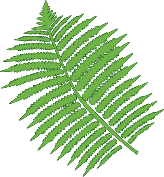 Fern Leaf Clipart Etc