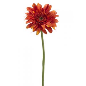Artificial Plants - Where to Buy Artificial Plants at Linens 'n Things