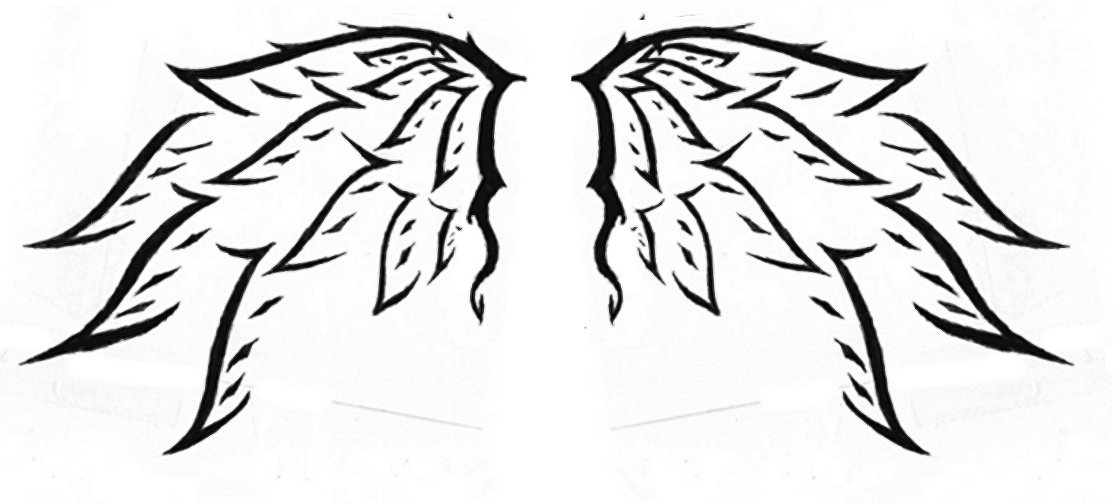 Tribal_Wings_by_Staridragon.jpg